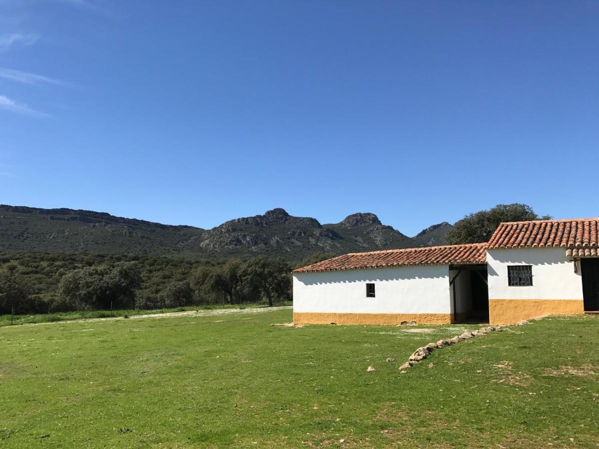 Casa Rural De La Finca Sierra Grande Hornachos Ngoại thất bức ảnh